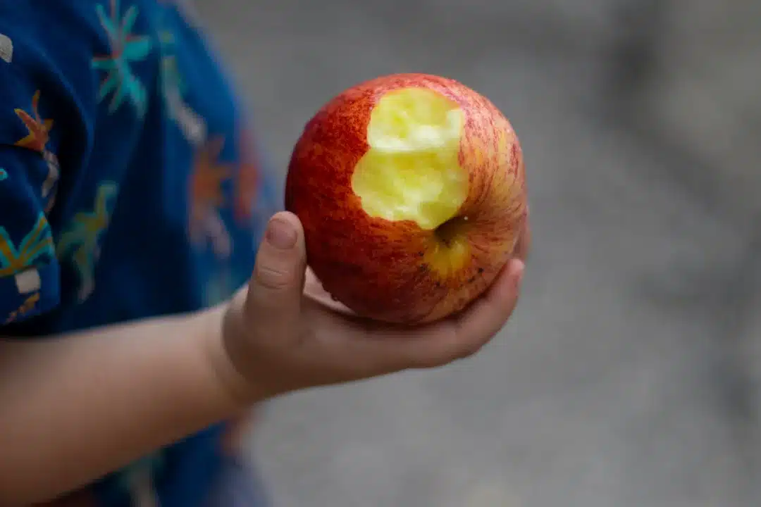 Nutrition at Millie’s House